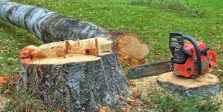 Best Tree Maintenance Programs  in Rosenhayn, NJ