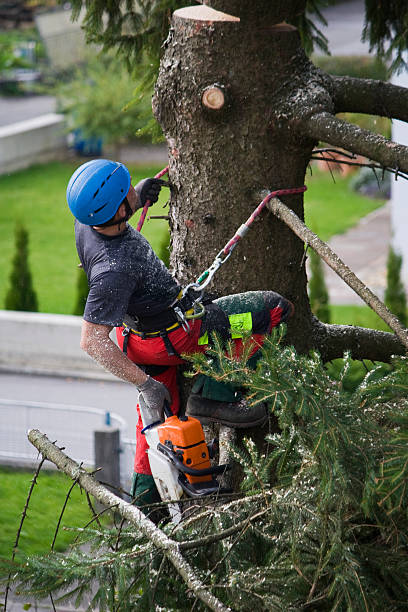 Best Utility Line Clearance  in Rosenhayn, NJ