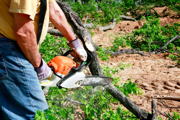 Best Commercial Tree Services  in Rosenhayn, NJ